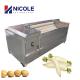 Brush Roller Bubble Potato Cleaning Machine Energy Saving For Washing Vegetables