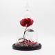 Dried Beauty And The Beast Red Rose In Glass Gift Suitable For Decor Purposes