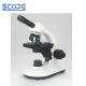 40X-1000X Magnification Laboratory Equipment Microscope Compound Optical