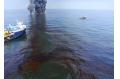 New Strain of Bacteria May Help Clean Oil Spill: Study