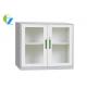 Customized Steel Office Cupboard file storage with Double Glass Swing Door