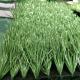 Natural Looking Extra Wide Artificial Grass Football Field 50mm Pile Height
