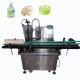 High Viscosity Liquid Filling Machine for Lotion Automatic One/Two Head Filling Machine 20-5000ml Hand Soap Filling