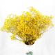 Immortal Preserved Babys Breath Wedding Bouquets Last For 2-3 Years