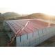 Steel Structure Cowshed Steel Structure Construction Prefabricated