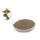 Premium Perilla Seed Natural Agricultural Products As Traditional Condiment