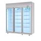 -18C Commercial Glass Door Freezer Self - Contained For Frozen Food / Upright Display Cooler