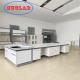 Chemistry Lab Workbench Hong Kong  With Fire Resistant Laminate Phenolic Resin Top Multiple Cabinets