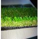 PP PE Synthetic Grass For Dogs Street Shopping Malls Long Life Span 10000 Dtex