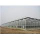 Agriculture Clear Polycarbonate Greenhouse Good Heat Preservation Effect