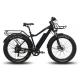 ( OEM Factory ) 26Inch Fat Tyre Electric Bikes 48V 500W Fat Tire Mountain Ebike