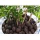 Aquaponic Hydroponic Clay Balls Customized Size Low Energy Consumption