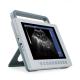 Veterinary Medical Ultrasound Machine 2D B Mode Ultrasound Scanner GHK10