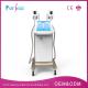 Beauty salon use 15 inch touch screen 2 cryo handle work together cool sculption Cryolipolysis machine to body shaping