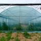 8m Wide Span Tomato Greenhouse Farming Commercial Poly Tunnel With Shading System Spray Irrigation System