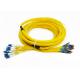 24 Core Distribution Jumper Optical Fiber Patch Cord , Fiber Optic Patch Cords