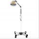 Single Head Floor Standing Acupuncture TDP Lamp ODM OEM