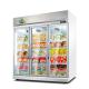 Upright Freezer Philippines / Malaysia Used Commercial Ice Cream Display Freezers