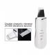 Super Thin Ultrasonic Facial Cleaner Stainless Steel Shovel Face Scrub Machine