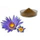 Nymphaea Caerulea Flower Powder Blue Lotus Organic Herbal Extracts