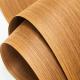 Natural Rotary Cut Veneer FSC Certificate 0.1mm 1mm For Furniture Plywood