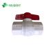 Sanitary Industry Thread PVC White Octagonal Compact Ball Valve Nominal Pressure Pn25
