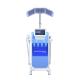 Hot Selling 8 Head Facial Beauty Machines Professional Portable Oxygen Facial Machine