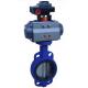 Cast Iron Material Butterfly Valve with Filter reducing pressure and  Air Lubricator