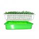 Corrosion Proof Commercial Seed Sprout Tray 4.3 Inch High Different Size