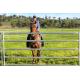 HEAVY Duty 18 Round Yard 	horse fence panels Outdoor Animal Enclosure with Gate