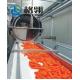 1-100t/H Pomegranate Juice Processing Line Carrot/Apple/Strawberry/Tomato/Pear Juice Jam Beverage Production Line