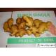 Medicinal Value Organic Fresh Ginger , Chinese Fresh Young Ginger For Swelling