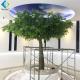 Modern Design Artificial Tree Plant For Lobby Garden Landscape Decoration