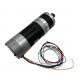 Electric Tools Motor 0.1 N.M 2.2A 37W 24V BLDC Motor For Lawn Mower