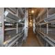 192 Birds 3 Tiers Galvanized H Type Layer Chicken Cage