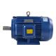 IP54 Small High Torque Low Speed Electric Motor 6KV 10KV High Efficiency