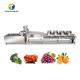 1000KG/H Fruit And Vegetable Processing Line Bubble Washing And Vibrating Drying