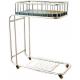 800 X 500 X 610mm Hospital Baby Cart Stainless Steel Frame