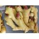 300g Air Dried Ginger yellow