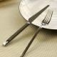 Elegant WMF stainless steel knife and fork set/dinner knife and fork