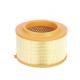 AB399601AB Air Filter Cartridge for Truck Engine Air Purification Technology