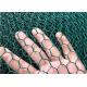 PVC Coated Hexagonal Wire Netting Twisted Woven Wire Netting