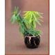 model potted plant----model material,decoration fllower,artificial pot,1:25,3CM potted plant