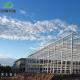 Double Layer Modern Multi-Span High Tunnel Glass Hydroponic Greenhouse for Agriculture
