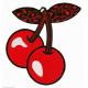 Cherry pattern PMS Iron On Embroidery Patches twill for clothing