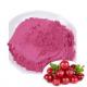 Mygou Foods Cranberry Fruit Juice Extract Powder OEM Packing