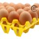 30 Egg Blister Tray Colorful Plastic Crate Durable Thermoformed Plastic Trays For Chicken Farm