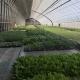30 Days Return refunds Origin Sparay Irrigation Greenhouse for Customer Satisfaction