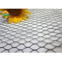 Small Hole Hexagonal Wire Netting , 20GA Galvanized Chicken Poultry Netting Wire