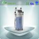 4 handles cryotherapy criolipolise criolipolysis head fat reduction freezefats system weig